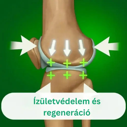 OrthoKnee™ – Hosszan tartó enyhülés ízületi gyulladás és ízületi fájdalom esetén