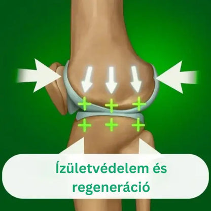 OrthoKnee™ – Hosszan tartó enyhülés ízületi gyulladás és ízületi fájdalom esetén